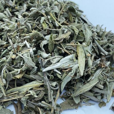 ORGANIC Sage - cut leaf