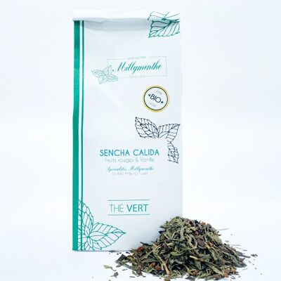 Green tea Sencha calida BIO