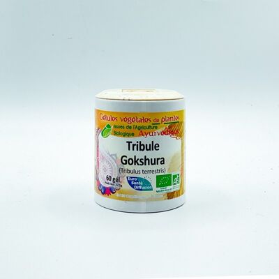 Tribulus BIOLOGICO