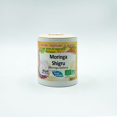 Moringa orgánica