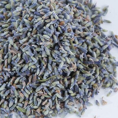 Organic lavender - flower
