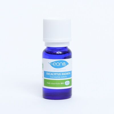 Huile essentielle d’Eucalyptus Radiata BIO