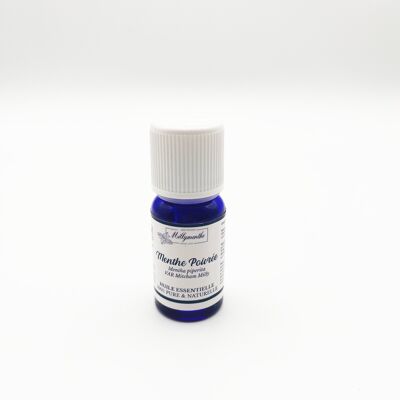 Aceite esencial de menta piperita - Producción millymenthe