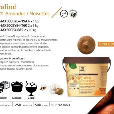 CACAO BARRY - PRALINE CARAMELLATE MANDORLE NOCCIOLE 50% -1kg 25% MANDORLE 25% NOCCIOLE