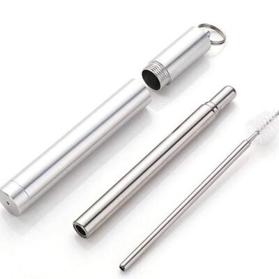Collapsible Metal Straw + Travel Case