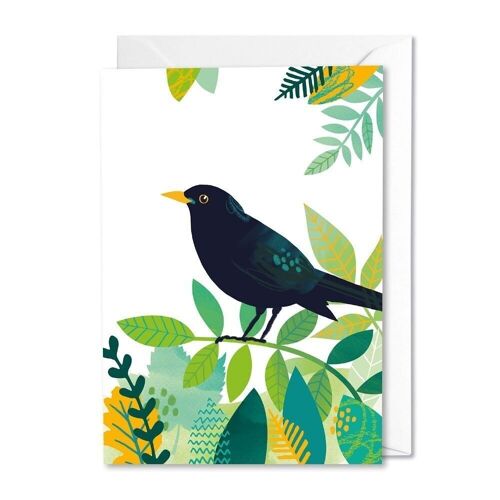 Buzz and Flutter Blackbird card
