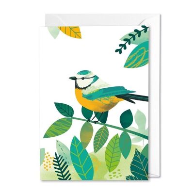 Buzz and Flutter Blue tit card