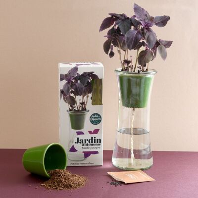 NEW DESIGN - Autonomous garden - Organic Purple Basil