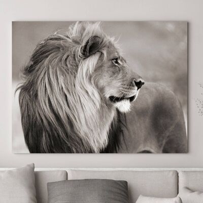 Photo, impression sur toile : Lion, Namibie (BW)