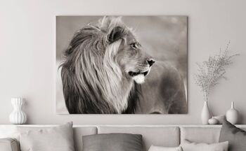 Photo, impression sur toile : Lion, Namibie (BW) 1