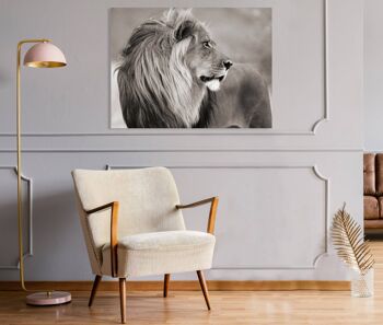 Photo, impression sur toile : Lion, Namibie (BW) 3