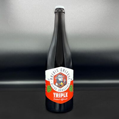 Bière Triple – 75cl