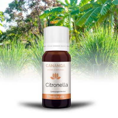 Essential Citronella Oil 10ml