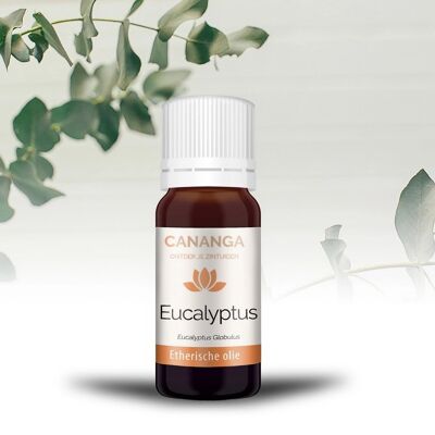 Essential Eucalyptus Oil 10ml