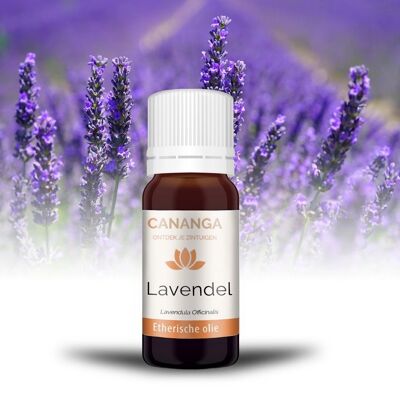 Essential Lavender Oil 10ml