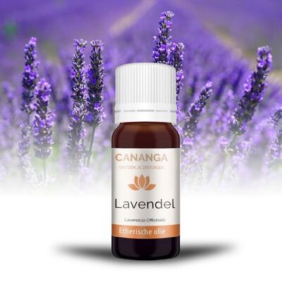 Essential Lavender Oil 10ml