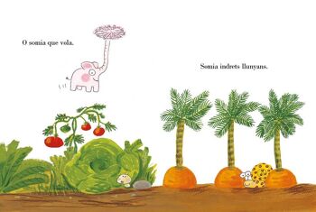 Livre pour enfants : Pamplemousse en somia 3