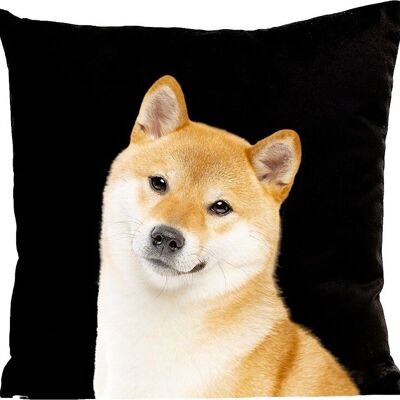 Dog cushion, Shiba
