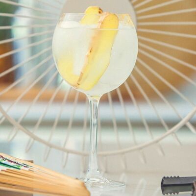 Japanisches Gin-Tonic-Cocktail-Kit