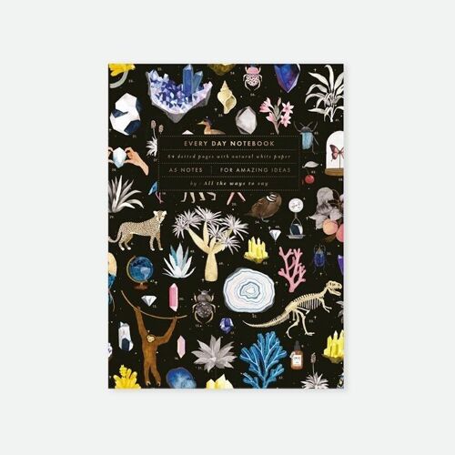 Notebook A5 Curiosity NB // CLEARANCE 50% OFF