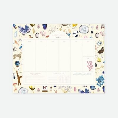 Curiosity Weekly Planner // CLEARANCE 50% OFF