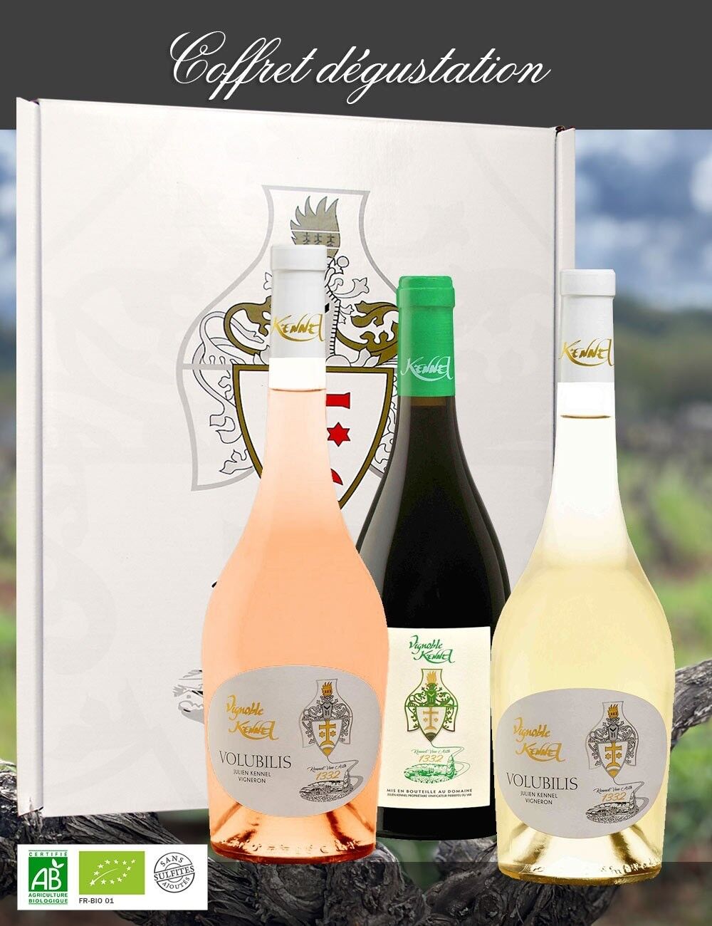 Sulfite-free wine tasting box