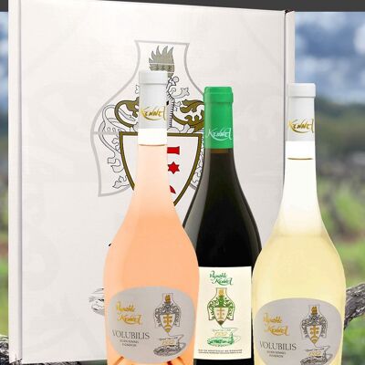 Sulfite-free wine tasting box