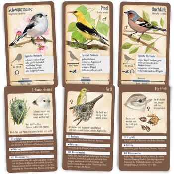 Visite nature - 50 oiseaux chanteurs indigènes 5