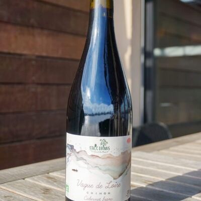 Chinon Cabernet Franc Organic 2020 – Vague de Loire EthicDrinks