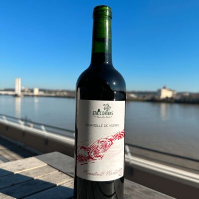 Monastrell-Merlot España Ecológico 2019 – Maravilla de la viña EthicDrinks