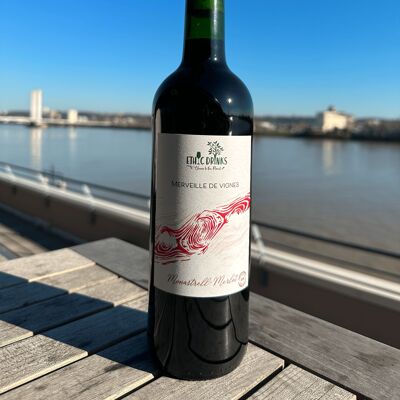 Monastrell-Merlot Spain Organic 2019 – Wonder of vines EthicDrinks
