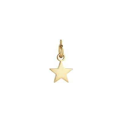 Charm estrella en acero dorado