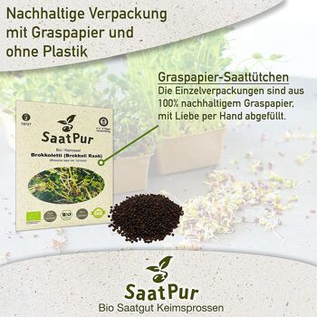 Graine de germination BIO brocoli brocoli Raab germination microgreen 4