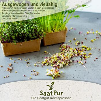 Graines à Germer BIO Luzerne Germes de Luzerne Microgreen 6