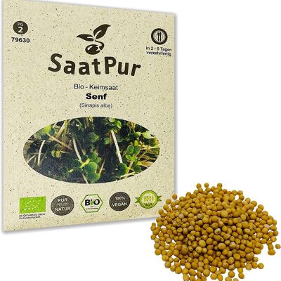 BIO Keimsaat Mustard Senf Keimsprossen Microgreen