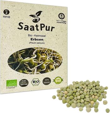 Graines germées de pois BIO Microgreen 1