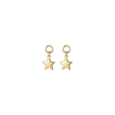 Gold ip steel earrings with star 1
