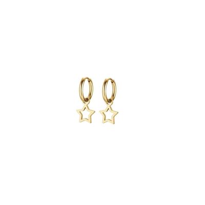 Gold ip steel earrings with star