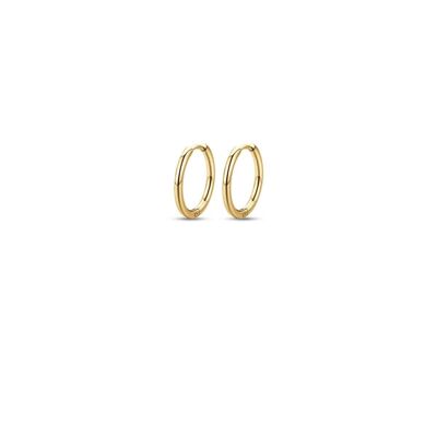 Gold IP steel earrings, 440