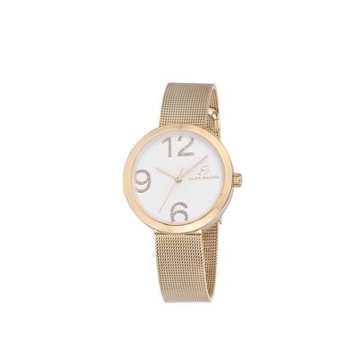 Watch with IP gold steel case, silver dial, 217