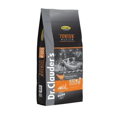 DOG DRY JUNIOR MEDIUM 350G