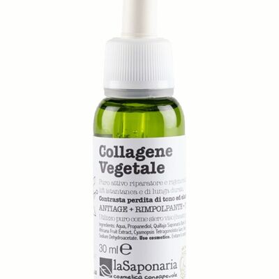 Collagene Vegetale