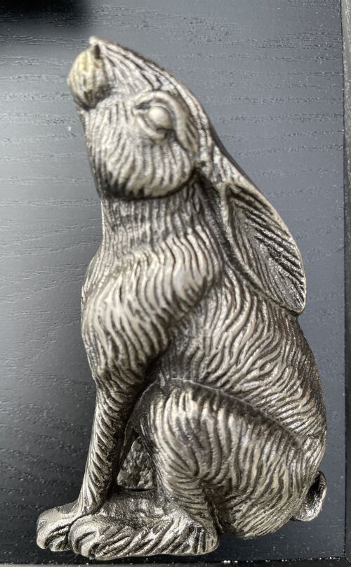 Moon Gazing Hare Door Knocker ( Antique Silver)