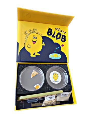 Coffret d'élevage de blob (Physarum polycephalum) 2