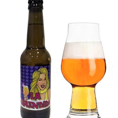 Cerveza ligera Saison La Splendida DAMALFI botella. CL 33