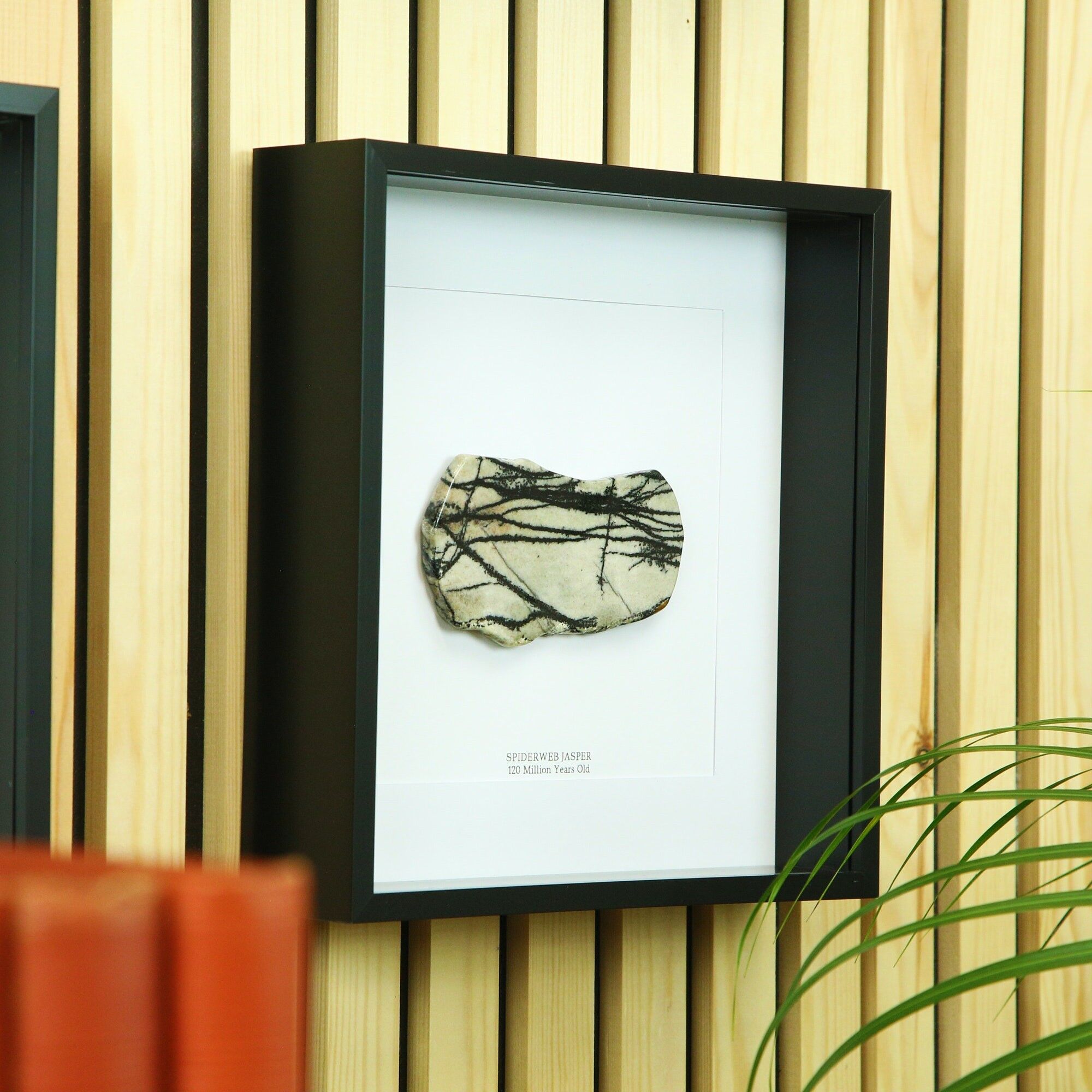 Spiderweb Jasper Natural Crystal Frame