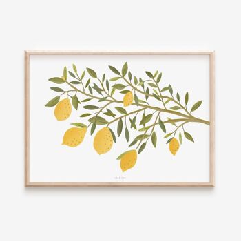 Affiche - Branche de citronnier / Italie 1