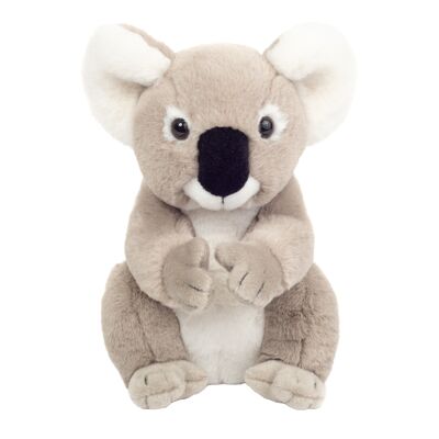 Koala assis 21 cm - peluche - peluche