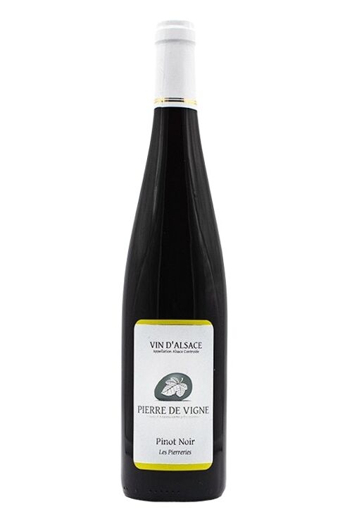 Pinot Noir trocken | Pierre de Vigne