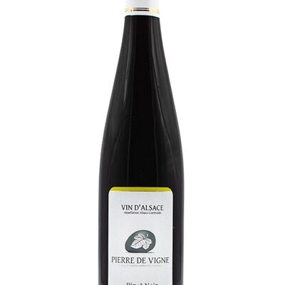 Pinot Noir Seco | Pedro de Vigne